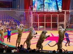 -西安秦岭野生动物园