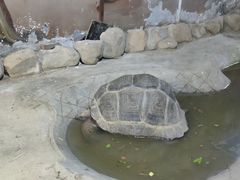 -太原动物园