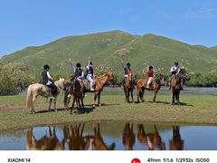 -额尔古纳黑山头绿野马帮骑马场