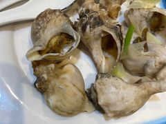 -小海丁