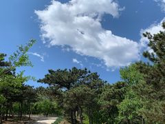 -北京西山国家森林公园