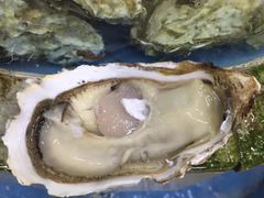-望海潮海鲜店 特色家常菜(在海一方店)