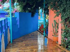 -三圣花乡旅游区