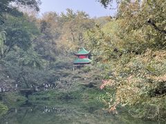 -岳麓山风景名胜区