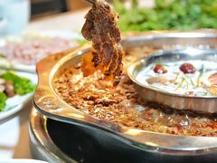-枇杷园食为鲜火锅(南山店)