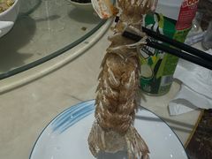 -旺来排档