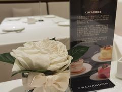-COVA(平安金融中心店)