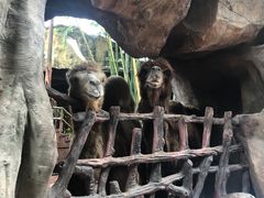 -长鹿旅游休博园