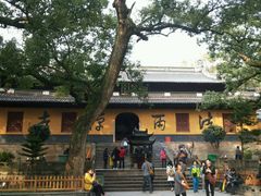 android_upload_pic-普陀山风景名胜区-法雨禅寺