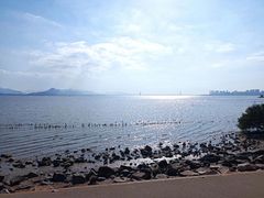 -深圳湾公园(南山区)