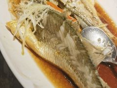 -前海沿·海鲜水饺青岛菜(乐客城店)