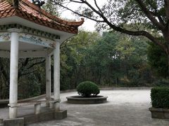-青龙山公园