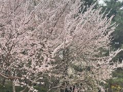 -团结湖公园