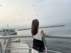 -东港音乐喷泉广场