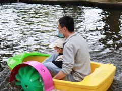 -厦门海湾公园游乐场