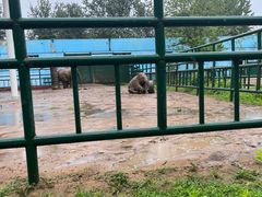 -秦皇岛野生动物园