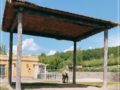 -哈尔滨北方森林动物园