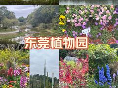 -东莞植物园