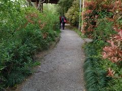 -新江湾城公园