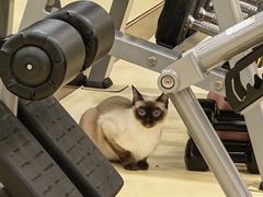 -中田健身工作室(深圳南油店)