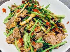 -壹盏灯(惠农店)