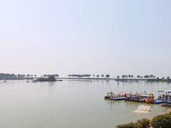 -合肥滨湖国家森林公园