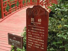 -合肥滨湖国家森林公园