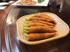 -丁老爷子苏香圆