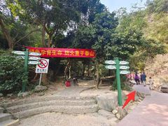 -南海湾森林生态园