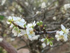 -南靖田螺坑土楼群景区