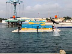 -秦皇岛乐岛海洋王国