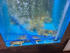 -鲜味食族水产·海鲜餐厅