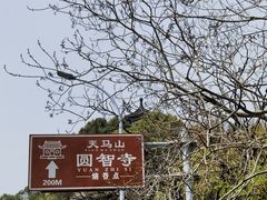 -上海佘山国家森林公园天马山园