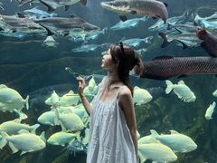 -波塞冬旅游度假区