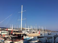 -费特希耶滑翔伞