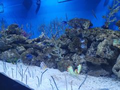 -成都浩海立方海洋公园