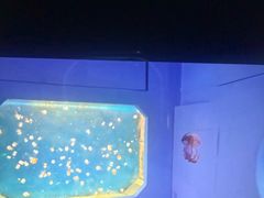 -嘉兴海底世界