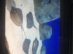 -福州罗源湾海洋世界旅游区