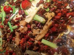 -老板恋上鱼(印象城店)