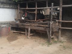 -清风小镇闯关东影视基地