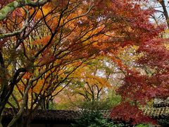 -虞山风景区
