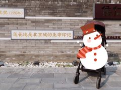-莲花池公园