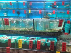 -海大大蒸汽海鲜餐厅·粤菜·特色小炒(欢乐颂店)