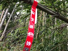 -会稽山峡洞漂流-上青古道