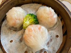 -新雅粤菜馆(南京东路店)