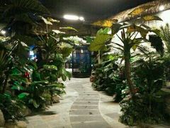 -泉城欧乐堡戏水湾艺术养生温泉