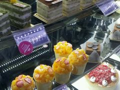 -蒲公英(五里店)
