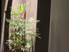 -森SPA·泰式按摩·精油Massage(宝安中心店)