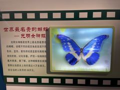 -上海昆虫博物馆