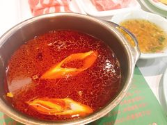 -德龙火锅(松源街直营店)